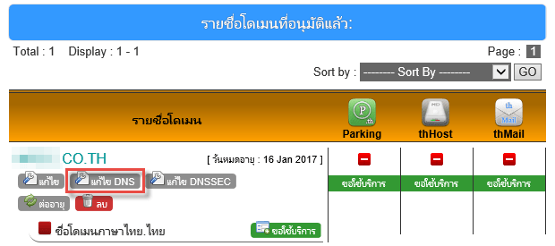 THNIC_DNS_4